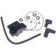 Sierra International Ignition Coil In Display Pack, 18-5176D