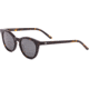Sito Now Or Never Sunglasses, Havana Frame, Iron Grey Polarized Lens, SINON003P