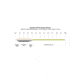 Snowbee Specialist Distance Fly Lines Spectre Distance, Intermediate, 2 Ips, Ghost/Chartreuse, WF#7, SPFL-WFSD7I