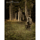 Southern Crossbow Risen XLT, 385 Package, SC73002