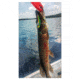 SteelShad 3/8 oz Blade Bait, Perch/Firetiger, SSL-10004