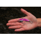 SteelShad 3/8 oz Blade Bait, Purple, SSL-10136