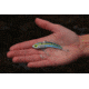 SteelShad 3/8 oz Blade Bait, Sexy Shad, SSL-10032