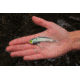 SteelShad 3/8 oz Blade Bait, Tennessee Shad, SSL-10033