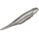 Strike King Spotlight Shim-E Minnow Softbait, 6 pack, 3in, Carolina Chrome, 12-36016