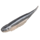 Strike King Spotlight Shim-E Minnow Softbait, 6 pack, 3in, Pro Blue Red Pearl, 12-36023