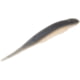 Strike King Spotlight Shim-E Minnow Softbait, 6 pack, 5in, Pro Blue Red Pearl, 12-36039