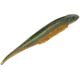 Strike King Spotlight Shim-E Minnow Softbait, 6 pack, 5in, Watermelon Red Flake, 12-36041