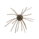 Strike King Tumbleweed Salted Softbait, 4 pack, 3in, Blue Craw, 12-36260