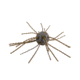 Strike King Tumbleweed Salted Softbait, 4 pack, 3in, Blue Craw, 12-36260