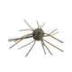 Strike King Tumbleweed Salted Softbait, 4 pack, 3in, Blue Craw, 12-36260