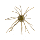 Strike King Tumbleweed Salted Softbait, 4 pack, 3in, Green Pumpkin, 12-36258