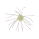 Strike King Tumbleweed Salted Softbait, 4 pack, 3in, Lemon Drop, 12-36264
