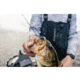 Strike King Tumbleweed Salted Softbait, 4 pack, 3in, Prism Smoke, 12-36263