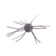 Strike King Tumbleweed Salted Softbait, 4 pack, 3in, Prism Smoke, 12-36263
