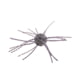 Strike King Tumbleweed Salted Softbait, 4 pack, 3in, Prism Smoke, 12-36263