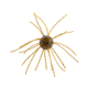 Strike King Tumbleweed Salted Softbait, 4 pack, 3in, Smallmouth Candy, 12-36257