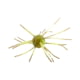Strike King Tumbleweed Salted Softbait, 4 pack, 3in, Summer Craw, 12-36256