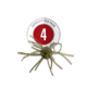 Strike King Tumbleweed Salted Softbait, 4 pack, 3in, Watermelon Red Flake, 12-36262