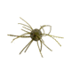 Strike King Tumbleweed Salted Softbait, 4 pack, 3in, Watermelon Red Flake, 12-36262