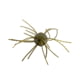 Strike King Tumbleweed Salted Softbait, 4 pack, 3in, Watermelon Red Flake, 12-36262