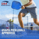 Tkg Sports Fiberglass Pickleball Set W/carry Bag