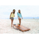 Viva Sol 2 x 4 ft Bean Bag Toss Game, Wood Tone, VS5000