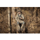 Vortex Ranger HD 3000 10x42mm Laser Rangefinding Binocular, Green, LRF-RGR3000