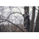 Vortex Razor UHD 10x32mm Binocular, Green, 9.37x8.25x4.75, RZB-1032