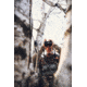 Vortex Razor UHD 10x32mm Binocular, Green, 9.37x8.25x4.75, RZB-1032