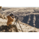Vortex Switchback Carbon Tripod Kit, Black, 5.75x5.75x32.50, TR-SBC