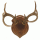 Walnut Hollow Deluxe Antler, Display Kit Walnut 40756