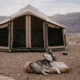 White Duck Altimus Bell Tent, Fire Water Repellent, 14ft, WD-RBT-20