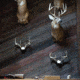 Wicked North Gear The Change Up Antler Display Kit, Black, B801-A002