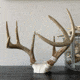 Wicked North Gear The Change Up Antler Display Kit, Black, B801-A002