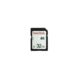 Wildgame Innovations WGI Memory Card, 32 GB, 10 Class, WGICA0037