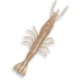 Z-man ElaZtech Scented ShrimpZ