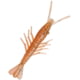 Z-man ElaZtech Scented ShrimpZ
