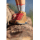 Zamberlan Trail Lite Evo Gtx Wns Hiking Shoes - Womens, BR, 6.5, 0320ZBRW-6.5