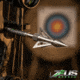 Zeus Breach Broadhead 100 and 125 gr Tips Included 4 Pk, 1503838
