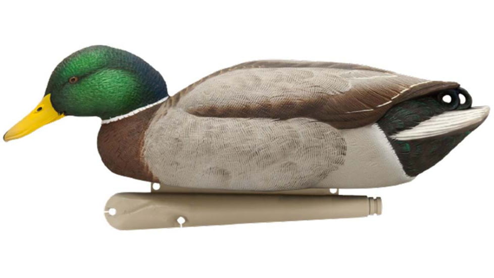 Avian X Top Flight Duck Decoy, Back Water Mallard, 6 pk, AVX-AVX8070