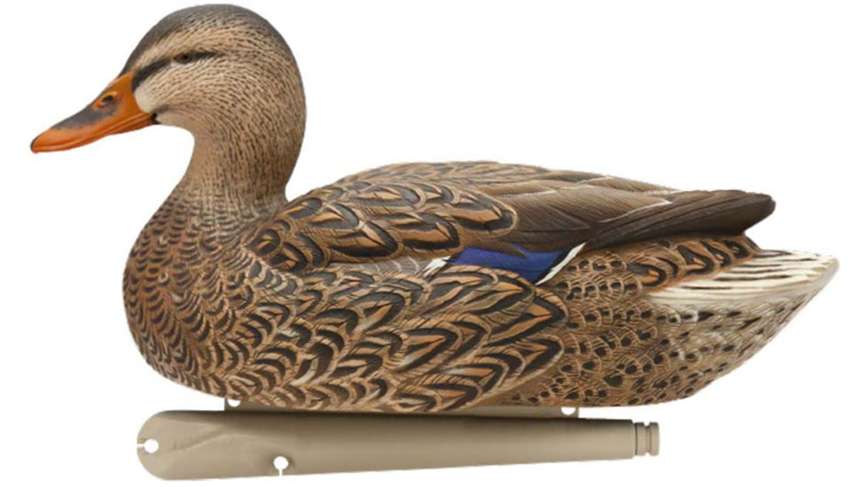 Avian X Top Flight Duck Decoy, Open Water Mallard 6 pk., 8060, AVX-AVX8060
