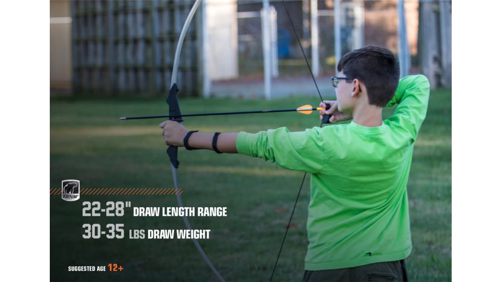 Bear Archery Firebird Youth Bow / Bow Only / Right or Left Handed, Gray, AYB6601