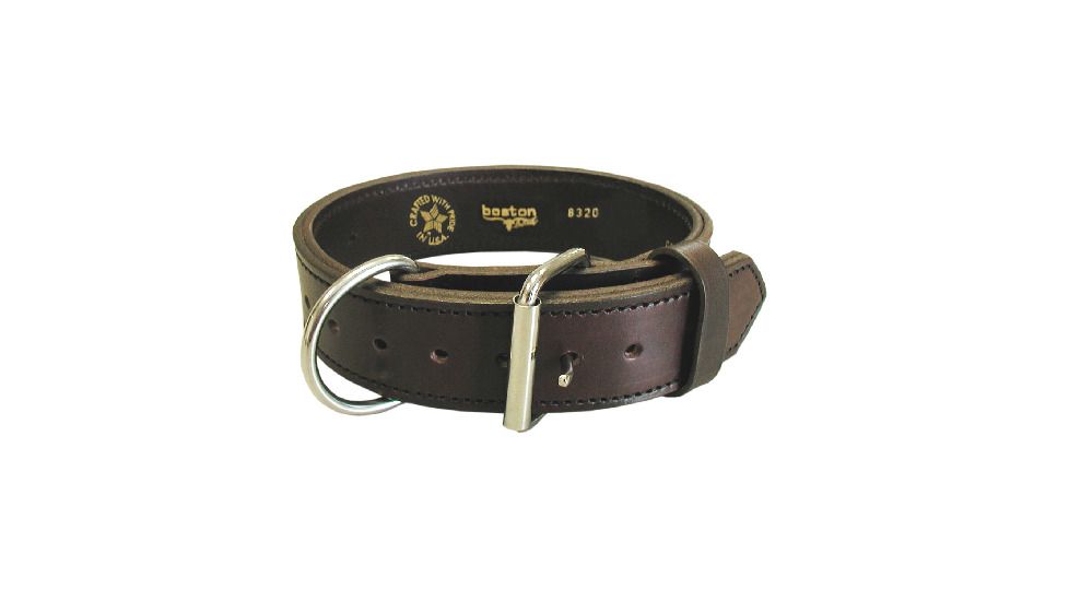 CANINE COLLAR AGITATION2 22