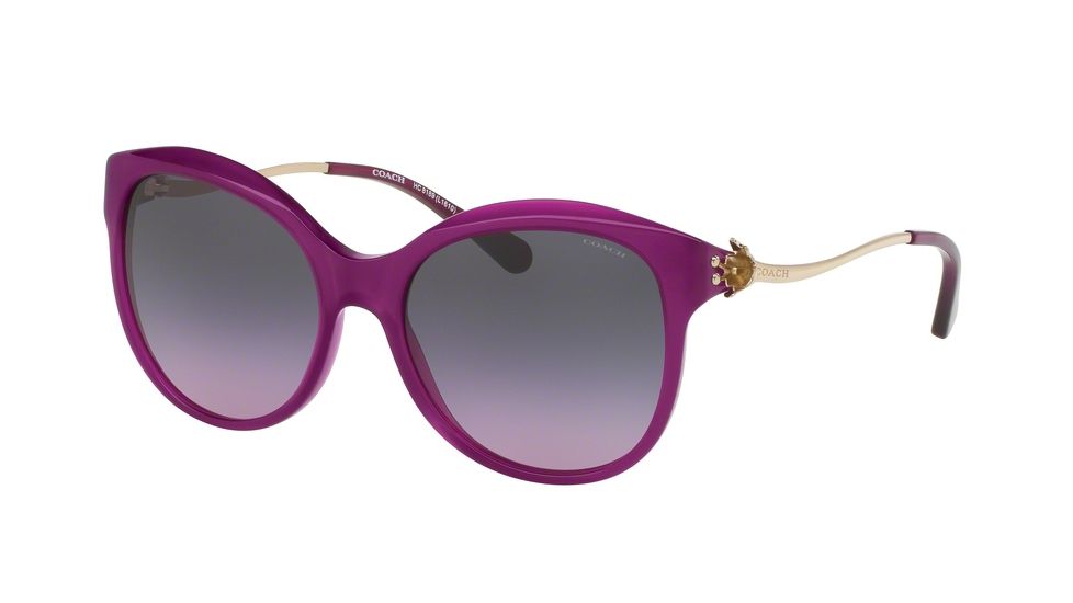 Coach L1610 HC8189 Progressive Prescription Sunglasses HC8189-541890-55 - Lens Diameter 55 mm, Frame Color Violet/Light Gold