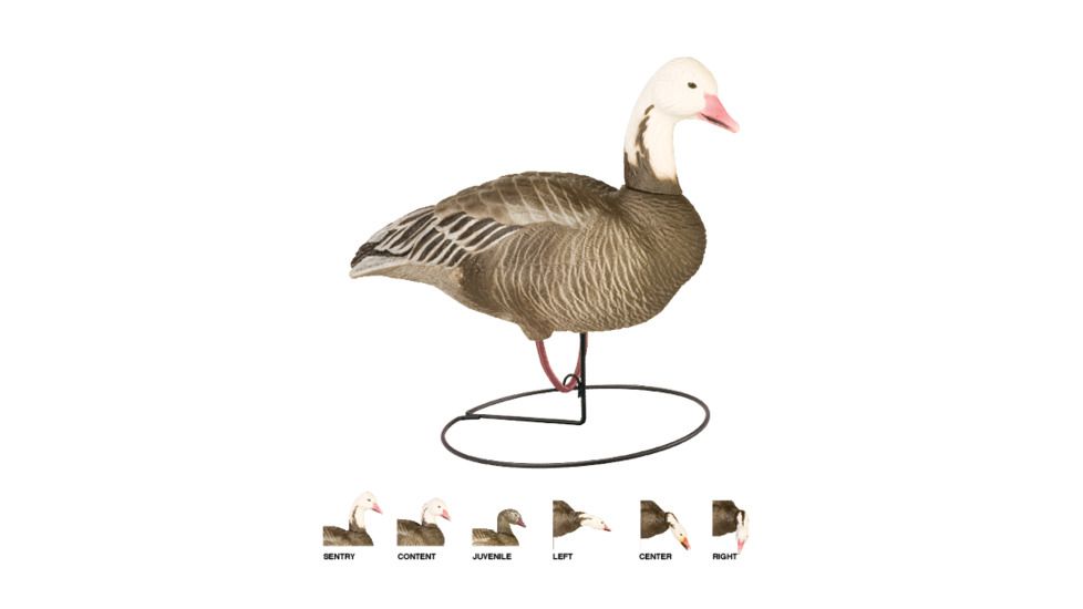 Final Approach Last Pass HD Blue Goose,Full Body Field Outfitters 6 Pack 474199