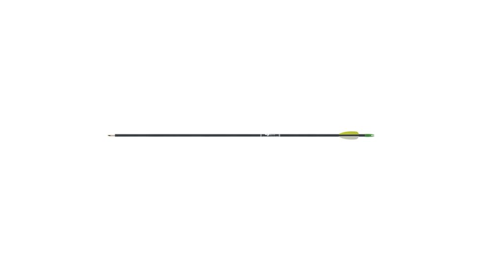 Gold Tip Fiberglass Arrows, Black 3 pk. FIBA253