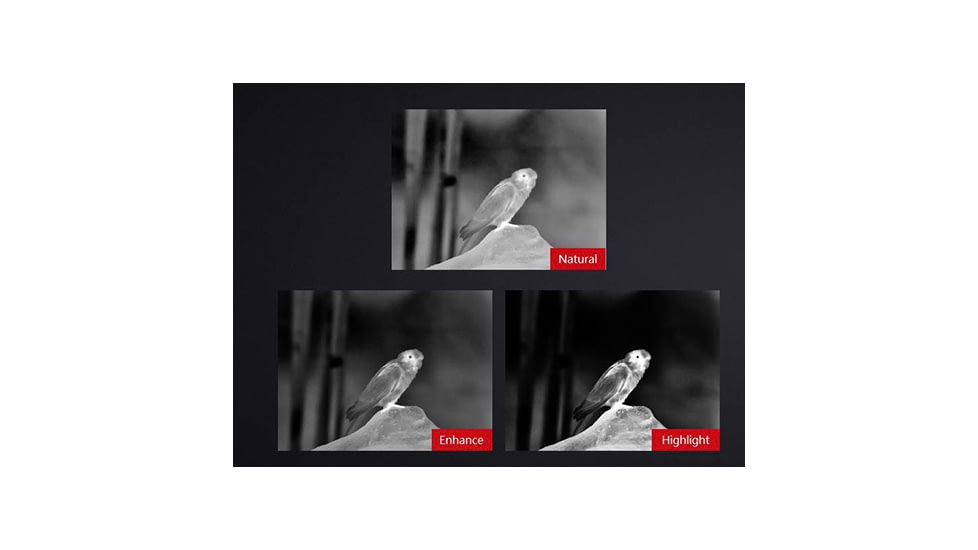 Guide USA TA Gen2 Series TA431 1-4x35mm Clip-On Thermal Imaging, 384x288, Black, TA431