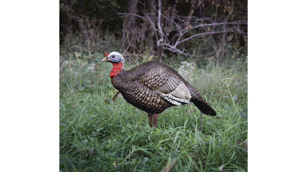 Higdon Outdoors Hard Body 1/4 Strut Jake Turkey Decoy, 63144