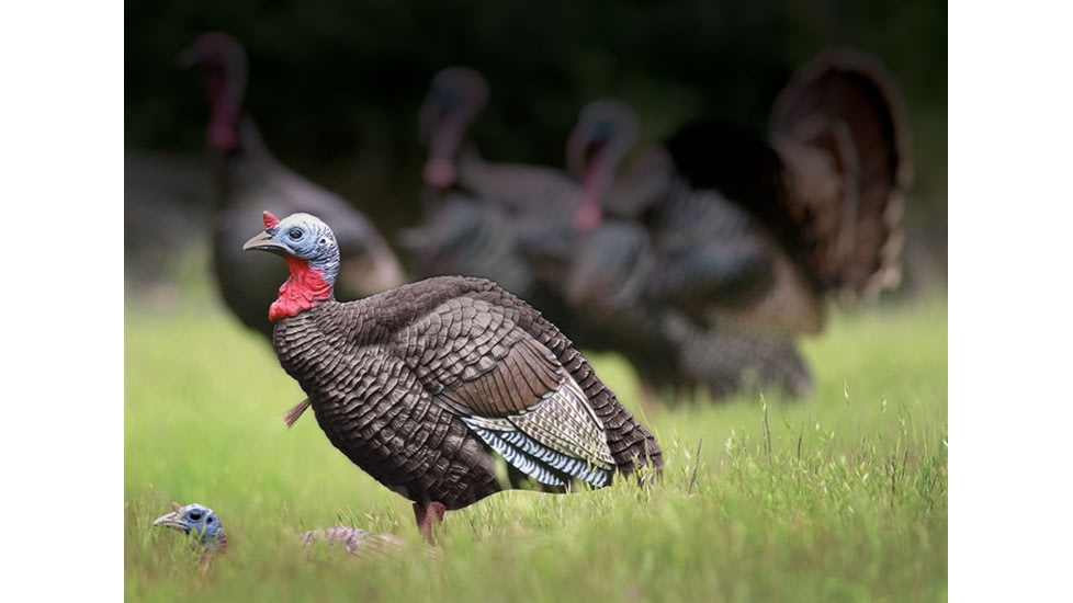 Higdon Outdoors Hard Body 1/4 Strut Jake Turkey Decoy, 63144